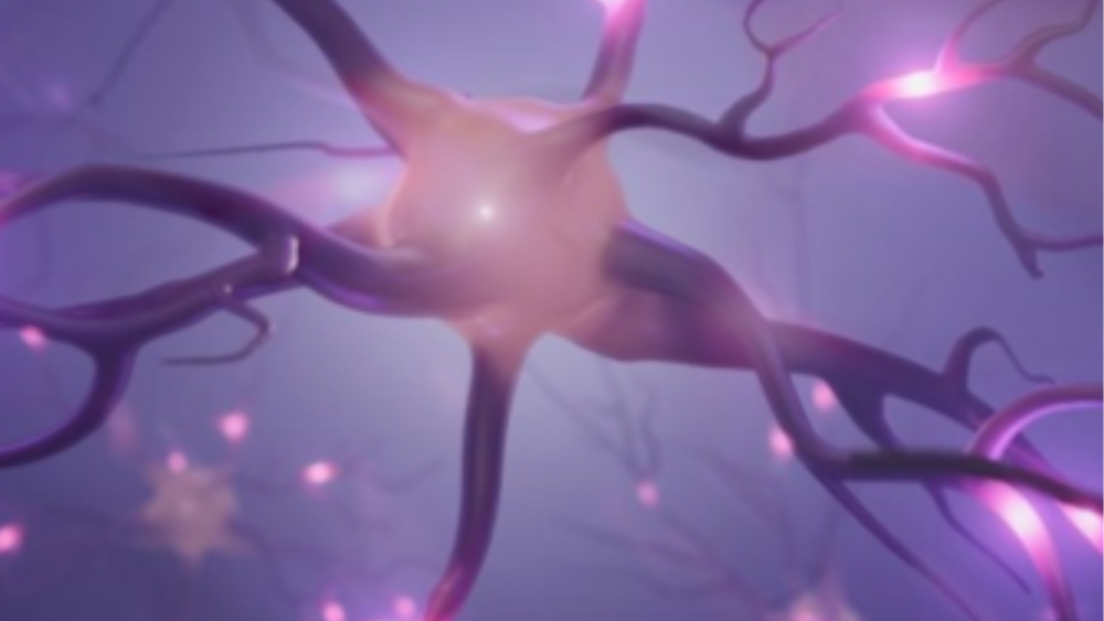 Neuroregulacja odruchów wg koncepcji DNAJSPEDIATRICS cz.1 A.