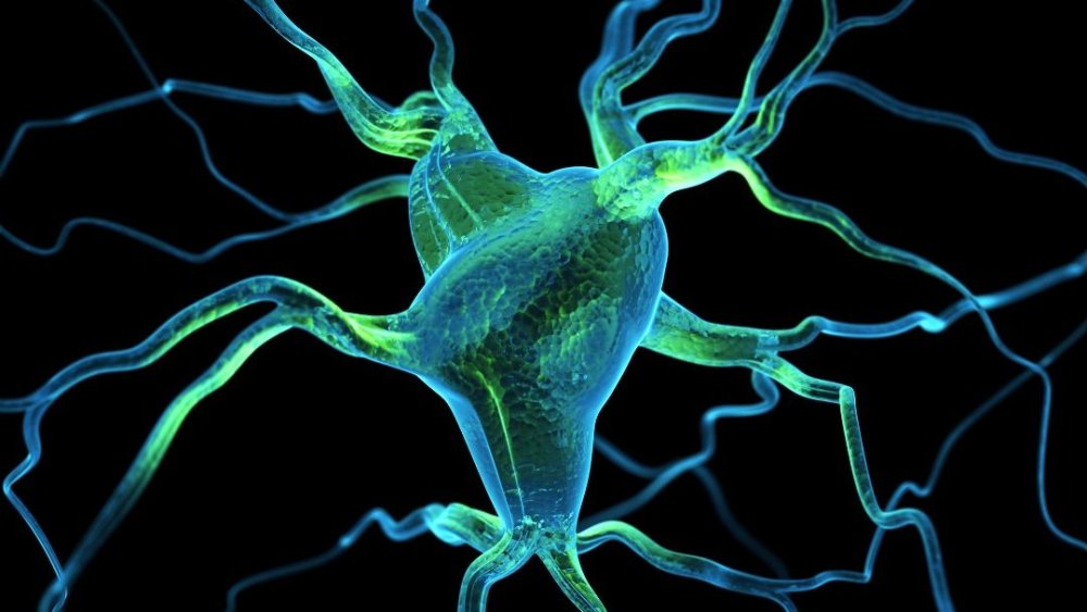 Neuroregulacja odruchów wg koncepcji DNAJSPEDIATRICS cz.1 B-9/2026